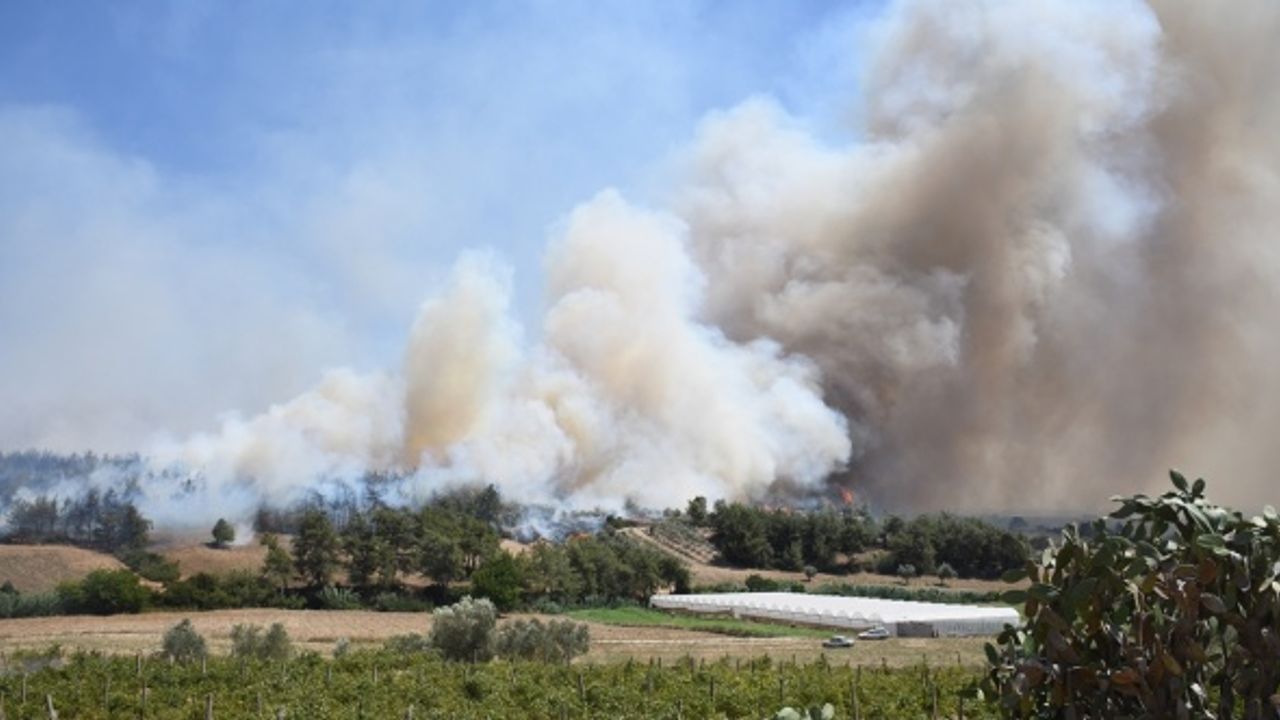 Adana Sarıçam'da çıkan orman yangınına müdahale ediliyor