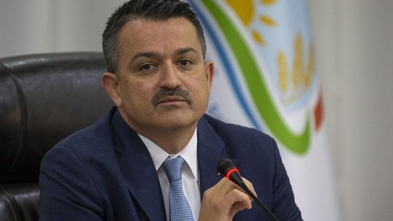 Kamu İhale Kurumu verileri: Orman Bakanlığı 7.2 milyon liraya 50 araç kiraladı, OGM Beştepe'deki yerleşkesi için peyzaya 7.1 milyon lira harcadı