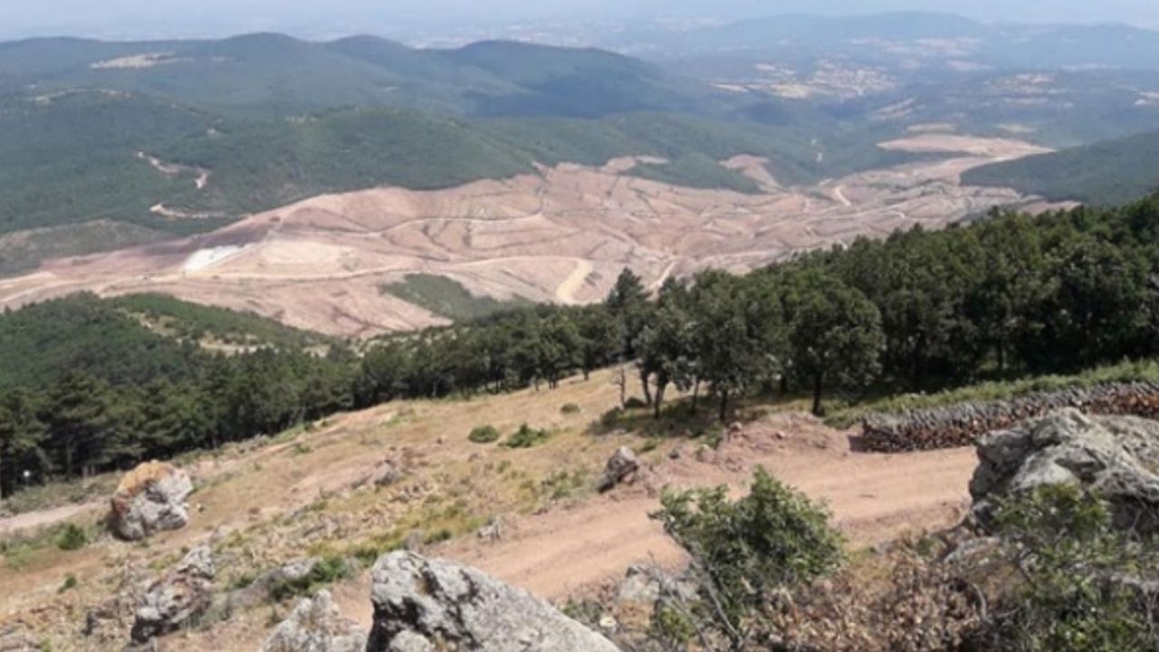 Çiğdem Toker’den Alamos Gold sorusu: Kanadalı şirketin sahiplik yapısı Hollanda merkezli şirkete aktarılırken, bu sonuç öngörülmüş müydü?