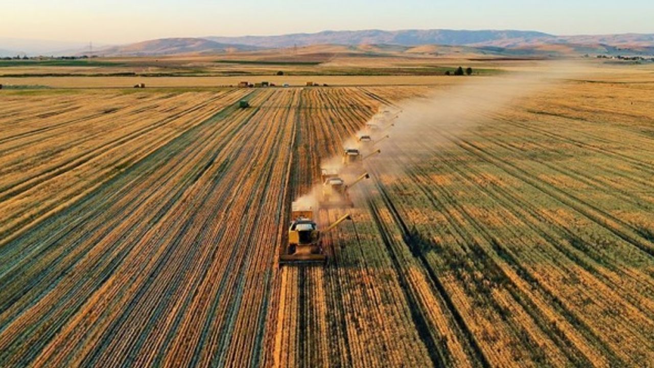 Tarımsal girdi fiyatları yıllık yüzde 29 arttı