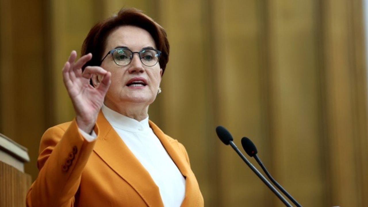 Akşener: Sıkı dur sayın Erdoğan başbakan geliyor