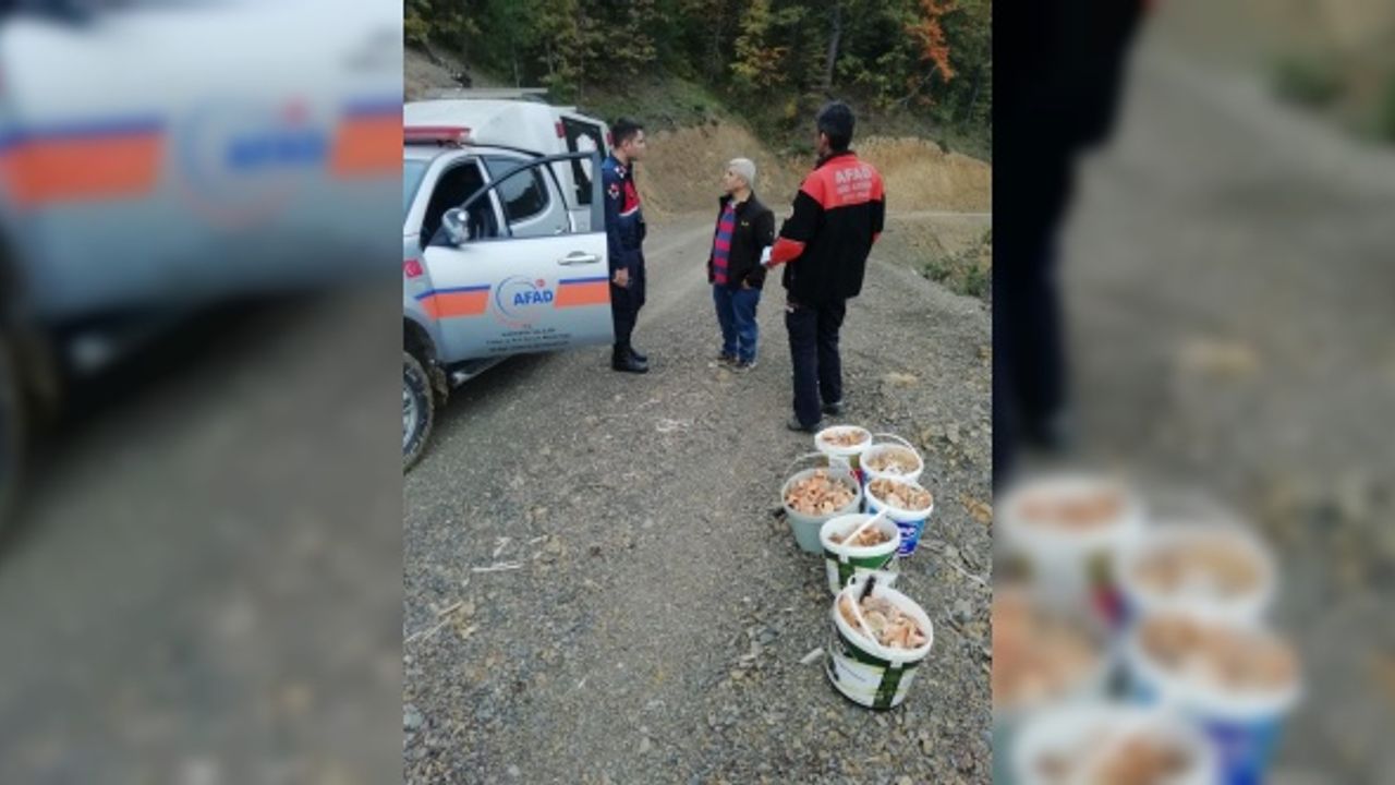 Karabük'te ormanlık alanda kaybolan 2 kişi bulundu