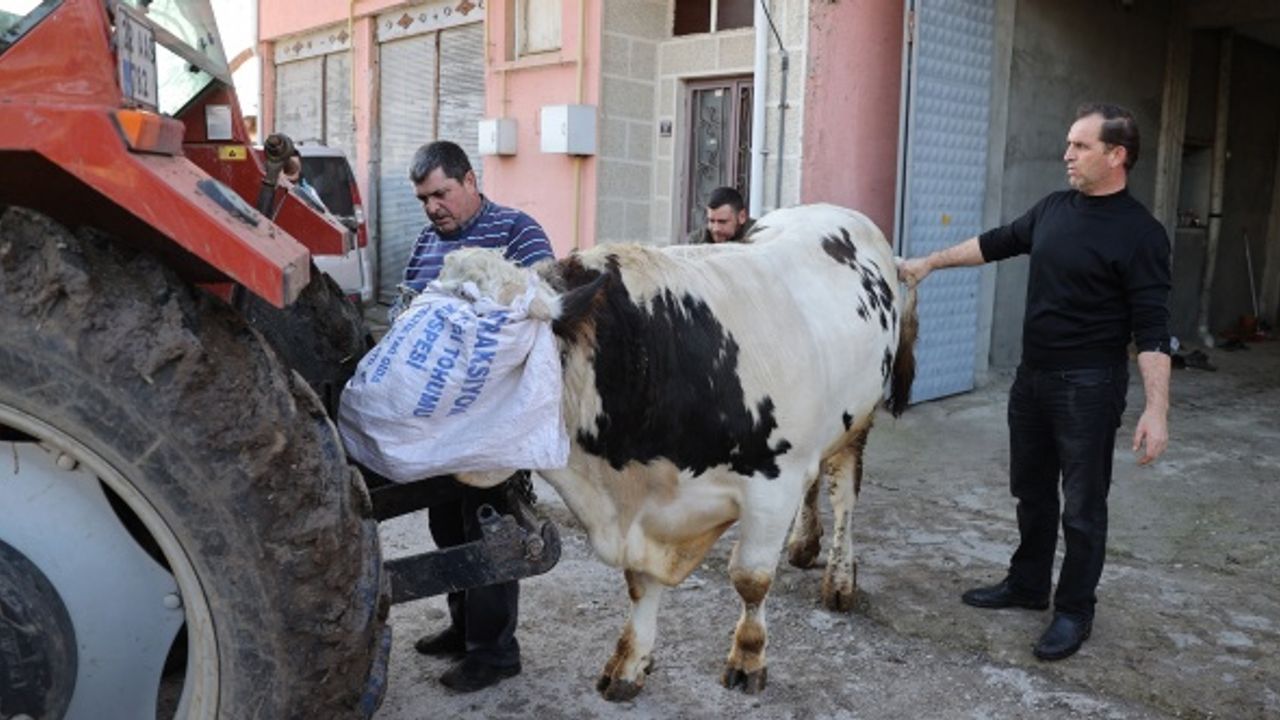 Edirne'de samanlıkta çıkan yangın nedeniyle ahırdaki hayvanlar tahliye edildi