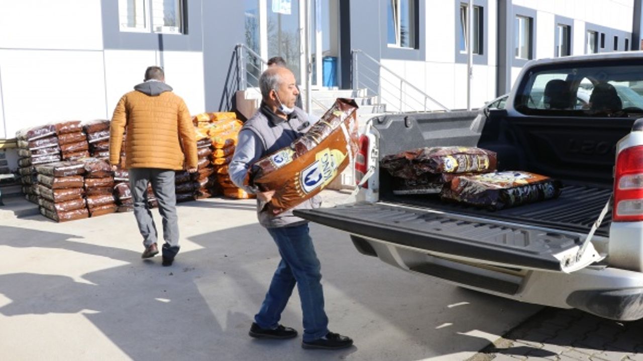 Edirne'de sokak hayvanlarına 3 ton mama dağıtıldı