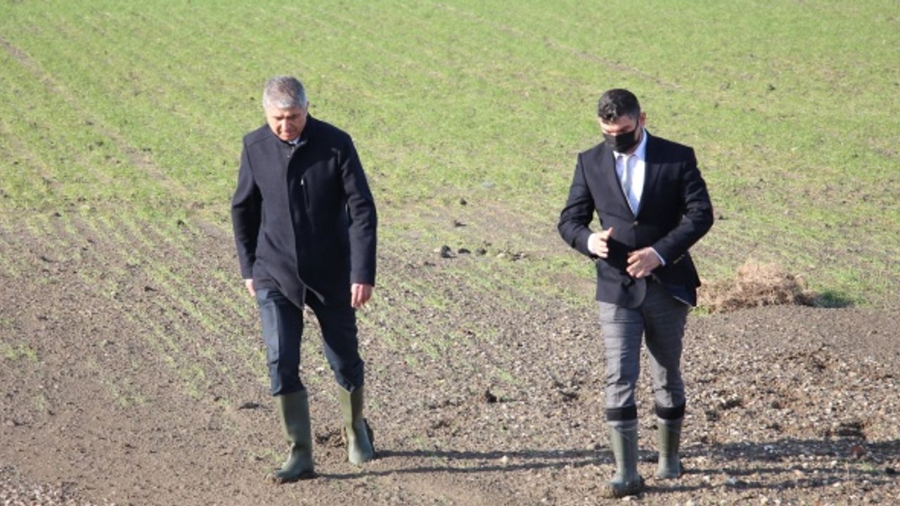 Ergene Nehri'nin taşması nedeniyle zarar gören tarım arazilerinde inceleme yapıldı