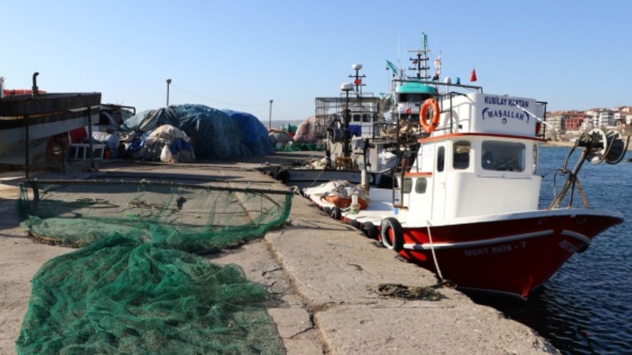 Tekirdağ'da balıkçılar yasağın bitmesinin ardından karides için ağ atacak