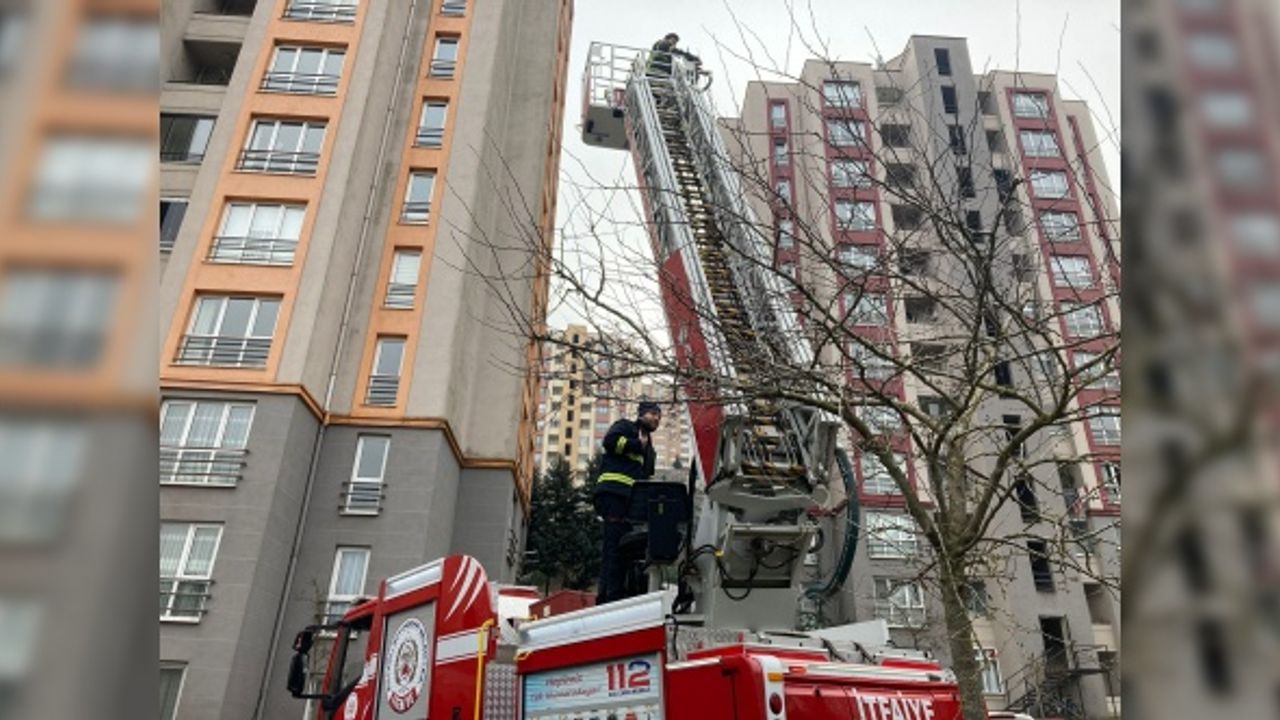 Ağaçta mahsur kalan kediyi itfaiye kurtardı
