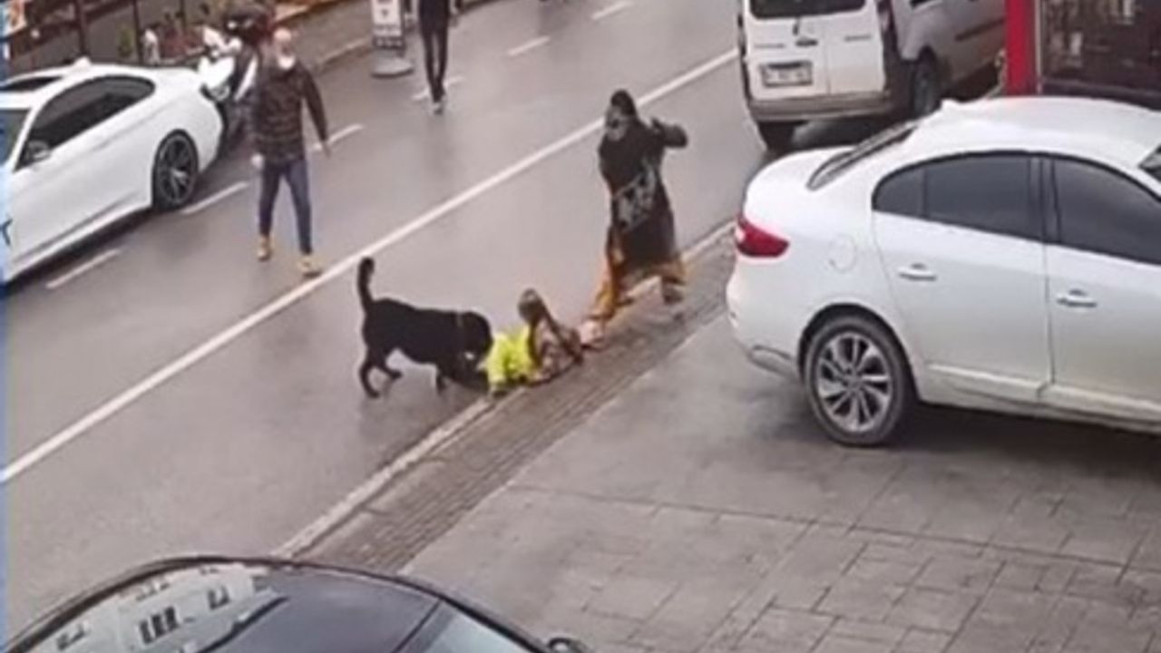 Köpek üzerine doğru koşunca kucağındaki çocuğu düşürdü