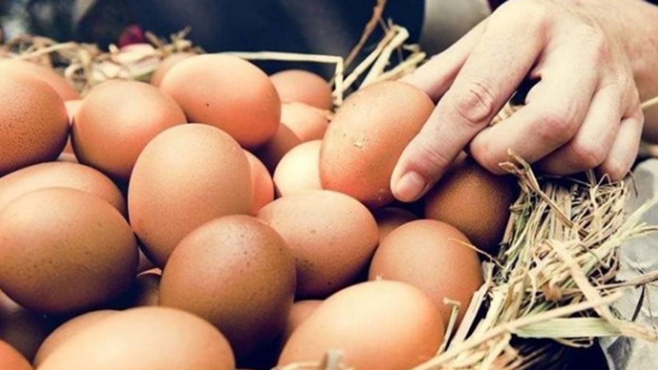 Yumurtada KDV indirimi öncesi zam iddiası