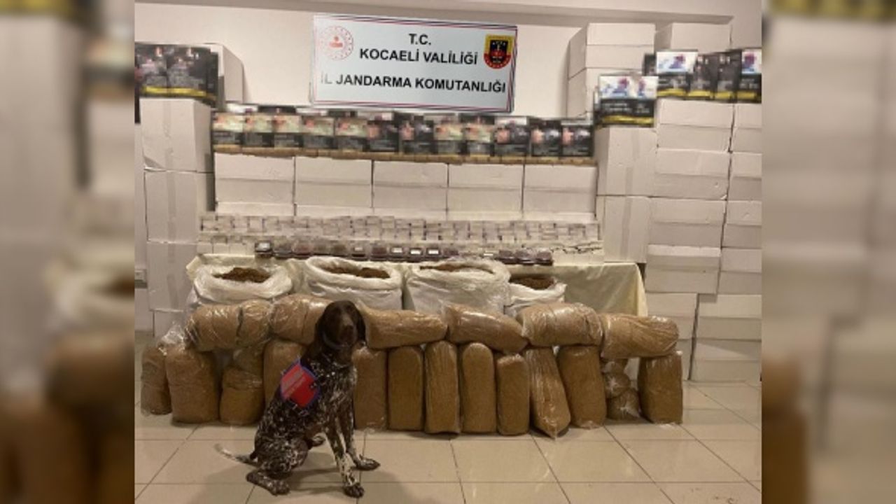 Kocaeli'de 2 milyon 30 bin makaron ele geçirildi