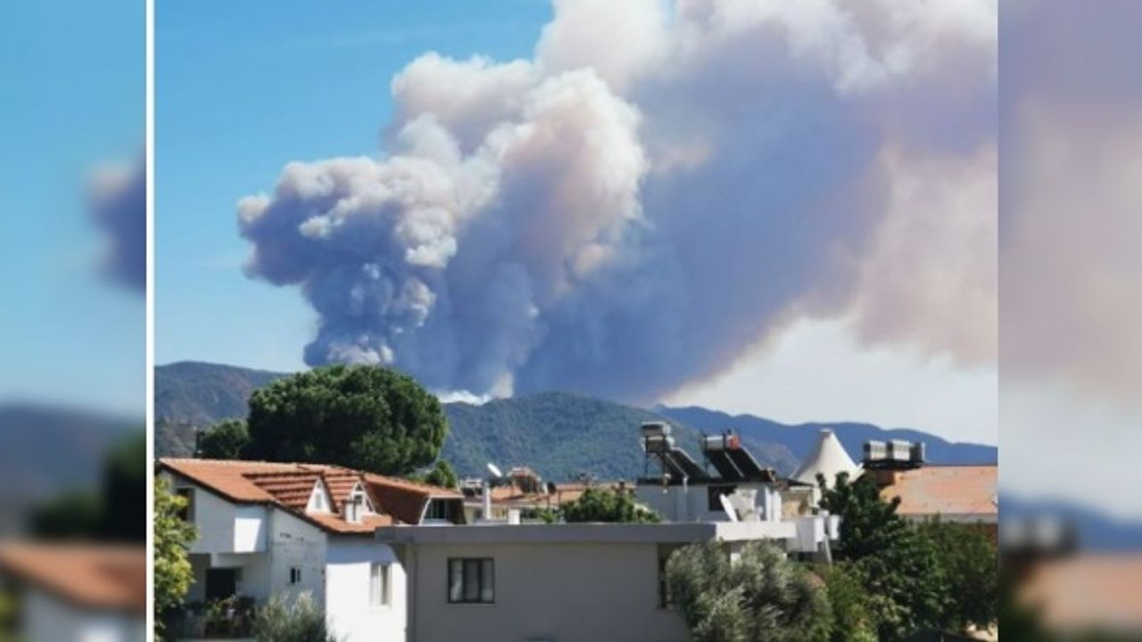 Marmaris'te orman yangını çıktı