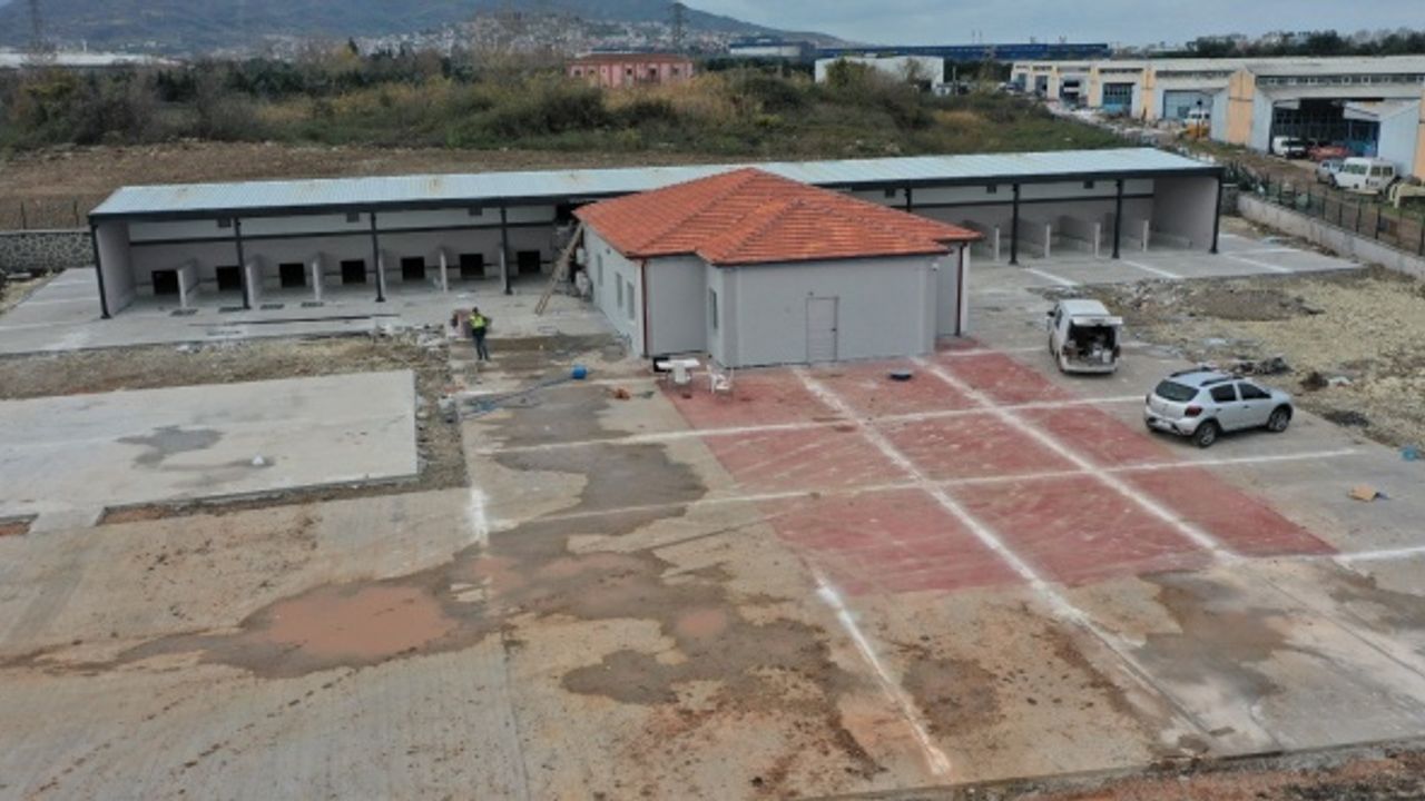 Bu merkezde hem kedi ve köpeklerin hem de kuşların yuvası olacak