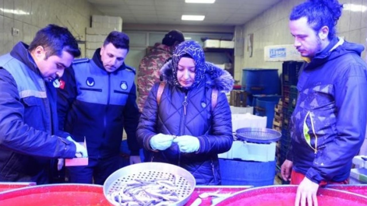 Balıkların boyları tek tek kontrol edildi