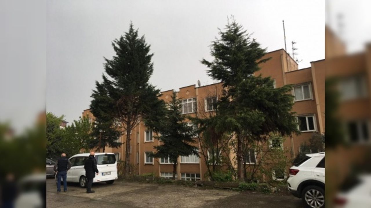 İzmit Belediyesi tehlike arz eden ağaçlara müdahale edecek