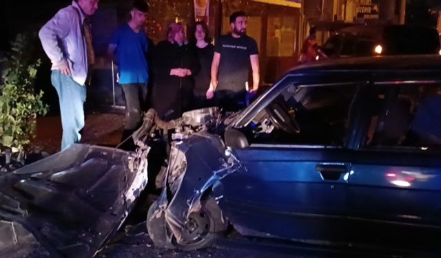 Kontrolden çıkan otomobil trafik levhasına çarptı: 1 yaralı