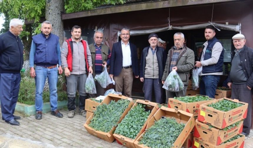 İzmit Belediyesi köylerde fide dağıtımına başladı